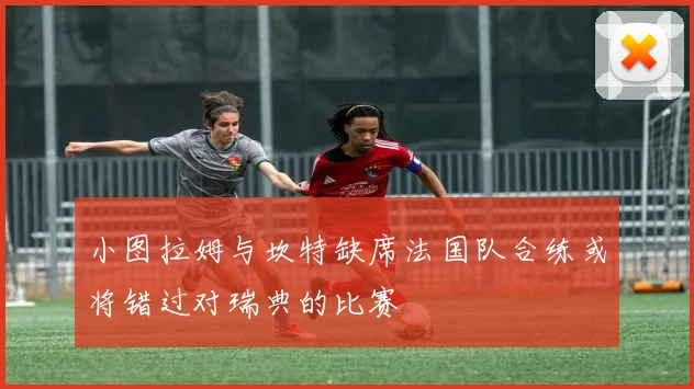 小图拉姆与坎特缺席法国队合练或将错过对瑞典的比赛