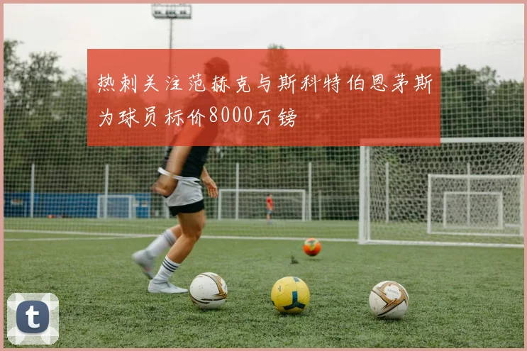 热刺关注范赫克与斯科特伯恩茅斯为球员标价8000万镑